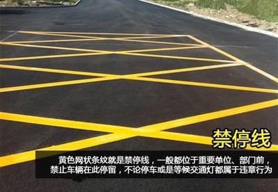 看清信號(hào)燈、標(biāo)牌與標(biāo)線